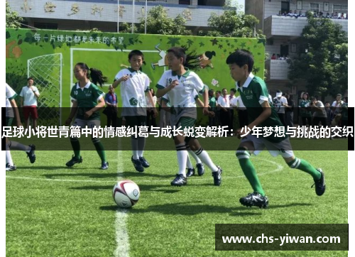 足球小将世青篇中的情感纠葛与成长蜕变解析：少年梦想与挑战的交织