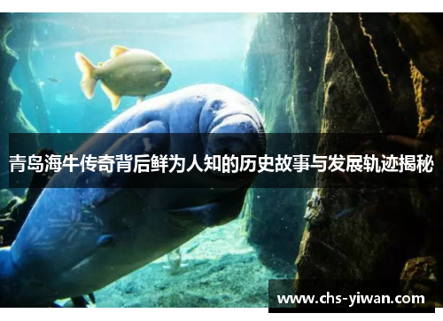 青岛海牛传奇背后鲜为人知的历史故事与发展轨迹揭秘 青岛海牛传奇背后鲜为人知的历史故事与发展轨迹揭秘