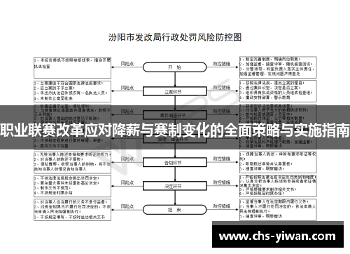 职业联赛改革应对降薪与赛制变化的全面策略与实施指南 职业联赛改革应对降薪与赛制变化的全面策略与实施指南
