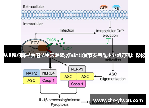 从B席对阵马赛的法甲关键数据解析比赛节奏与战术驱动力机理探秘
