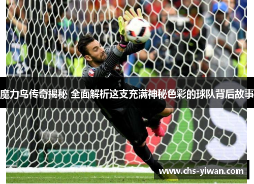 魔力鸟传奇揭秘 全面解析这支充满神秘色彩的球队背后故事